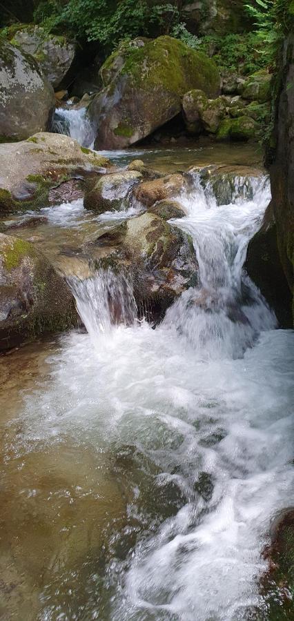 Capo di Ponte B&B Naquane 2 المظهر الخارجي الصورة